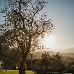 Casa Rosales Guest house Cardes (Infiesto)