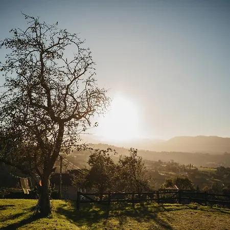 Pensión Casa Rosales Cardes (Infiesto)