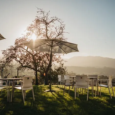 Casa Rosales Affittacamere