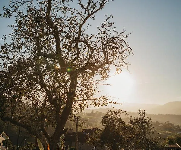 Casa Rosales Pensión Cardes (Infiesto)